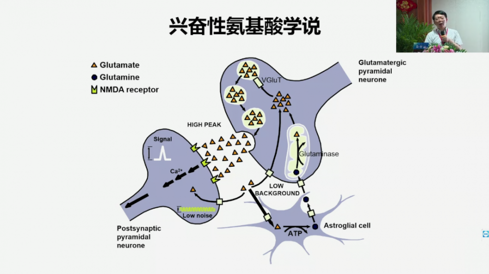 另外就是谷氨酸受体就是所谓的部分拮抗剂，学说是兴奋性氨基酸就是重度学说